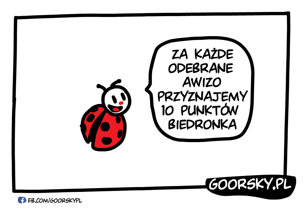  Przesyłki w Biedronce