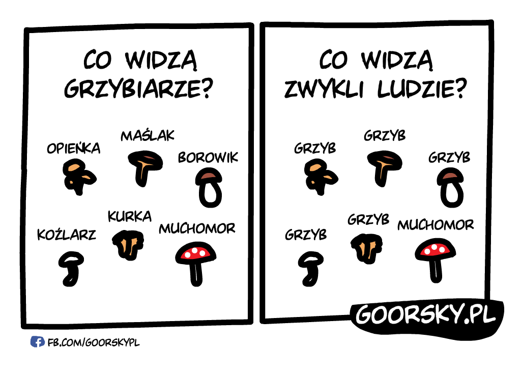  Grzybiarze