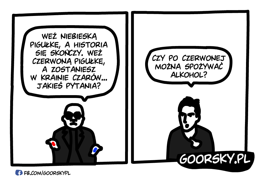  Matrix po polsku