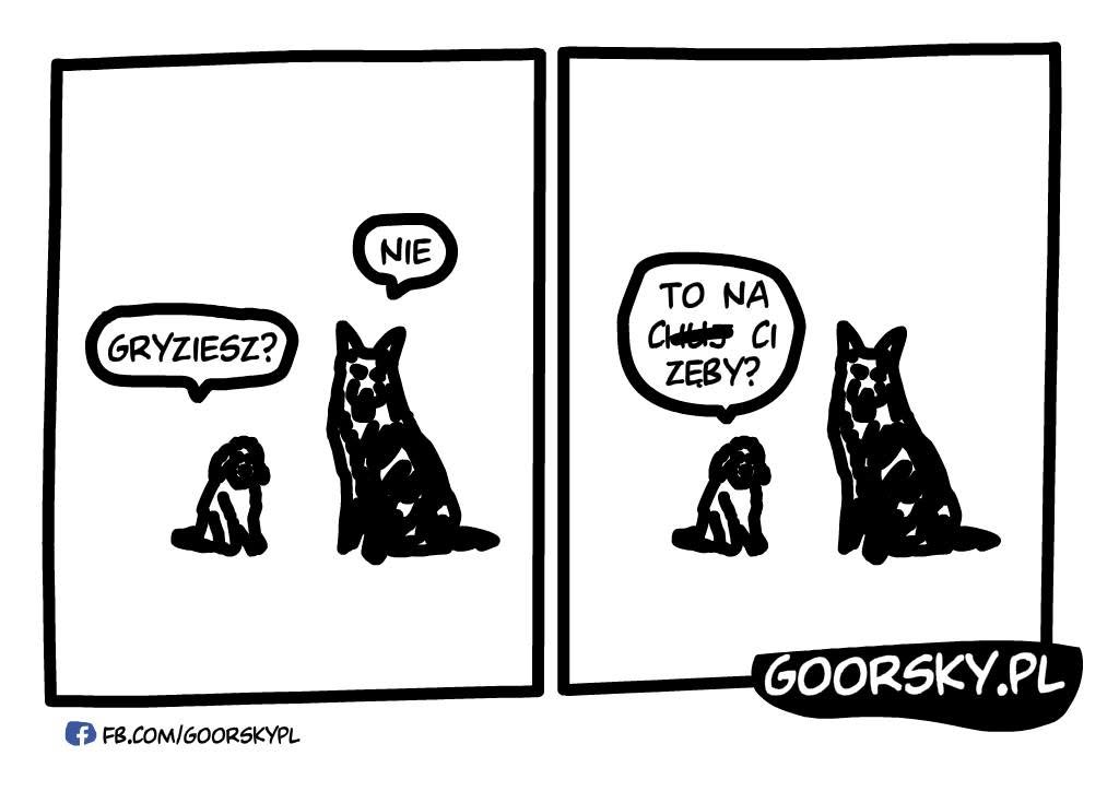 Pieski