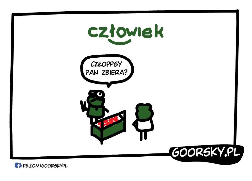 Alternatywny świat