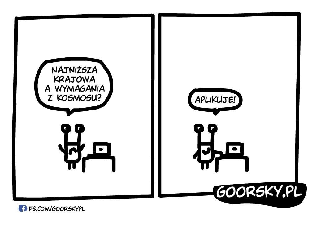 Rynek pracy