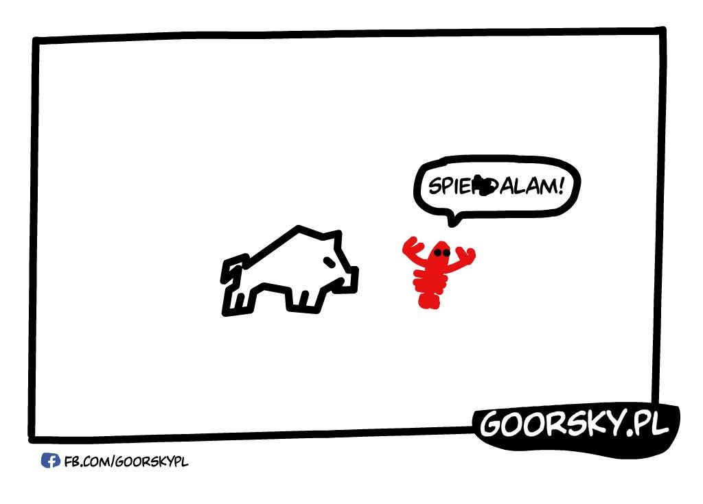 WKDzik