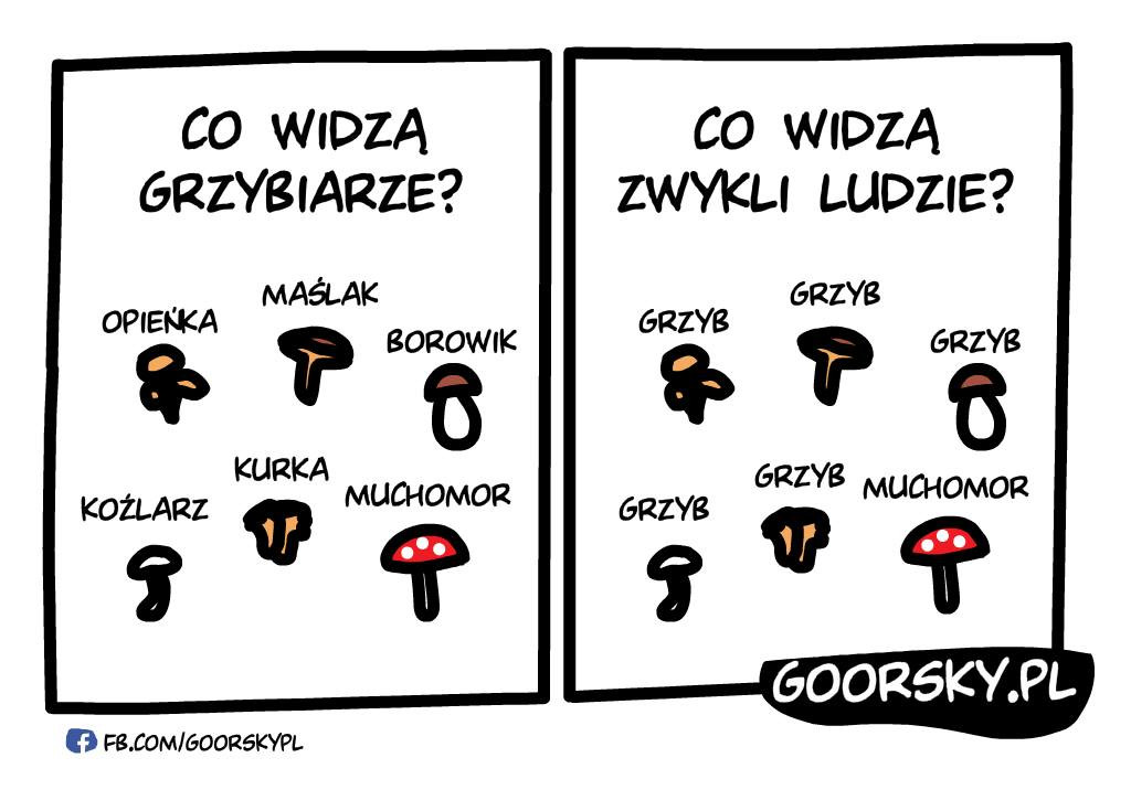 Atlas grzybów