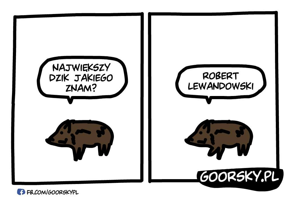 Dzik