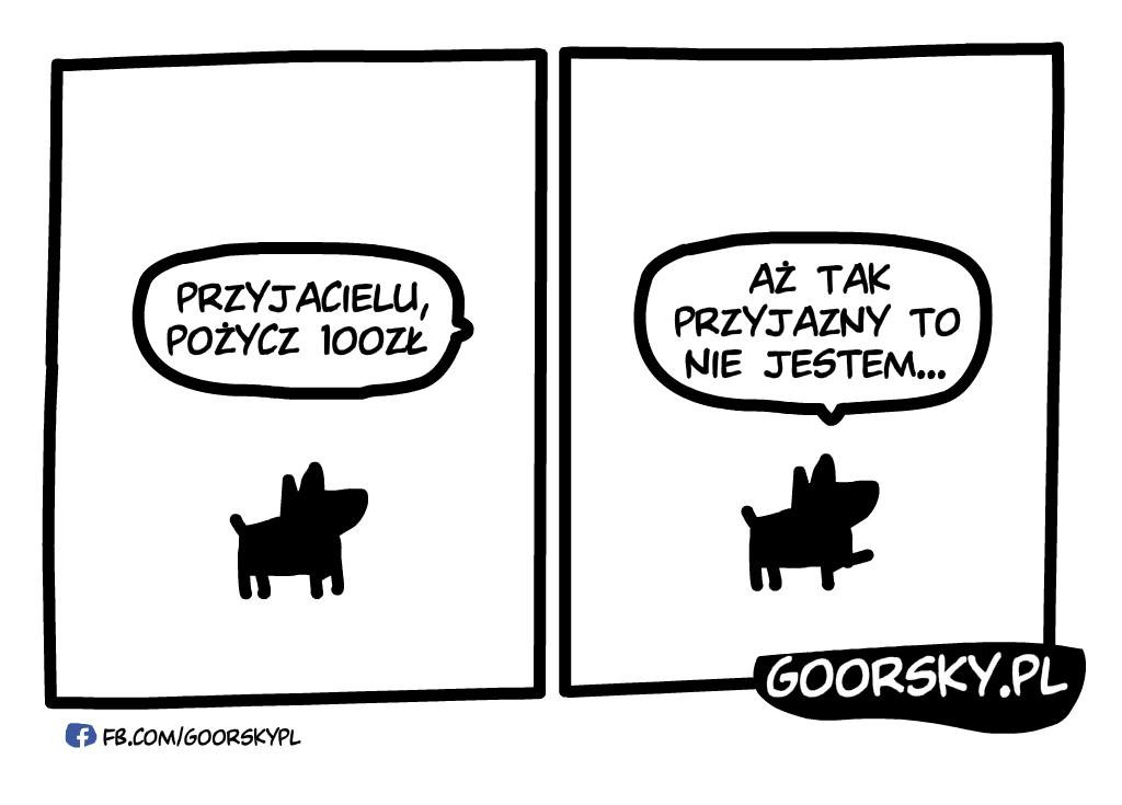 Pies najlepszym przyjacielem człowieka