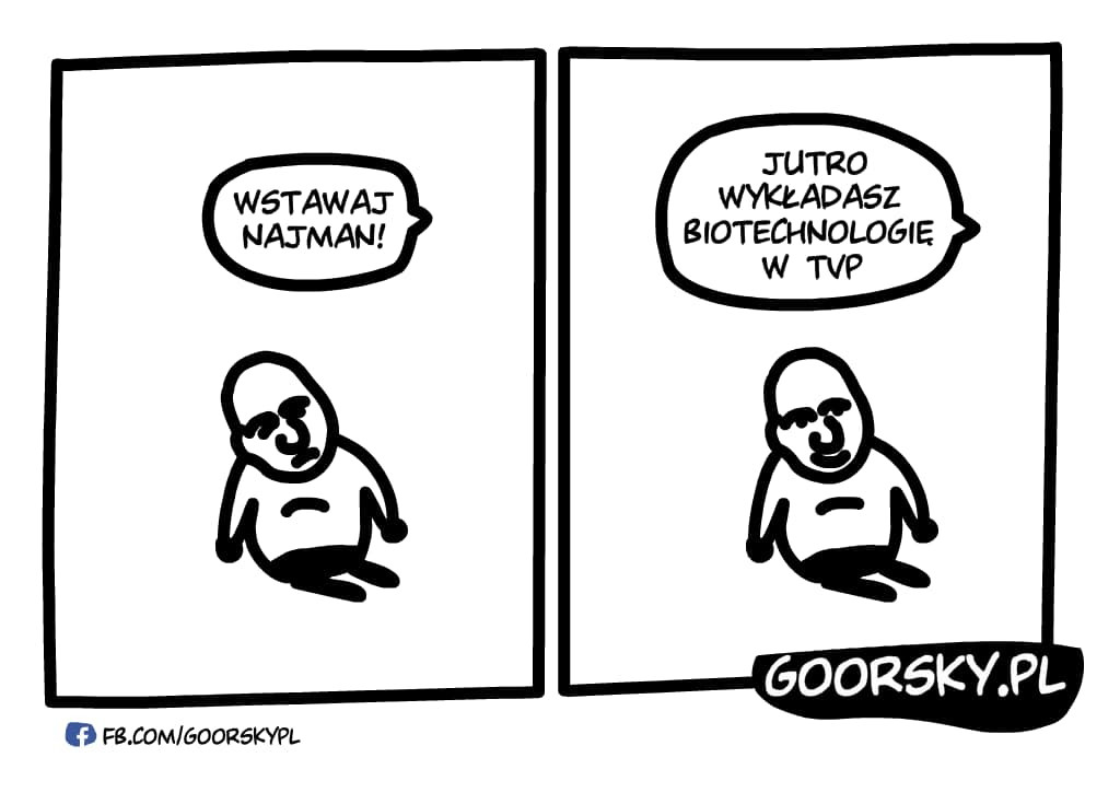 Najman