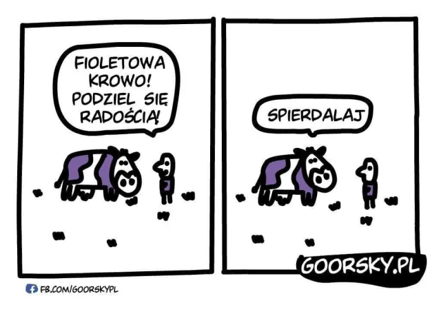 Radość