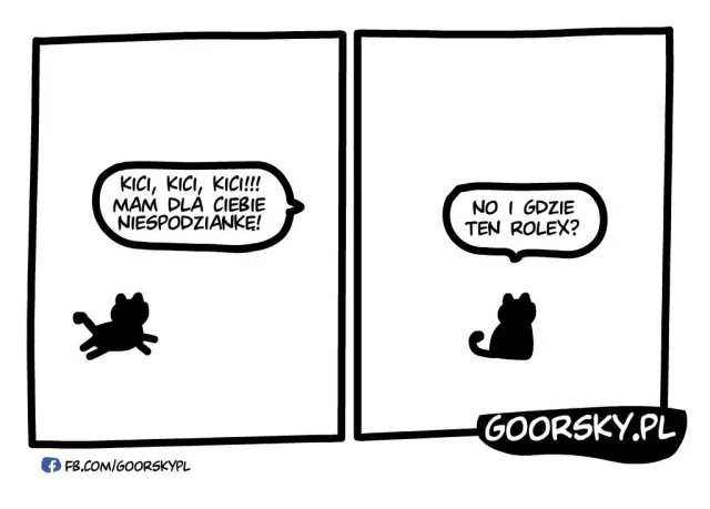 Dzień kota