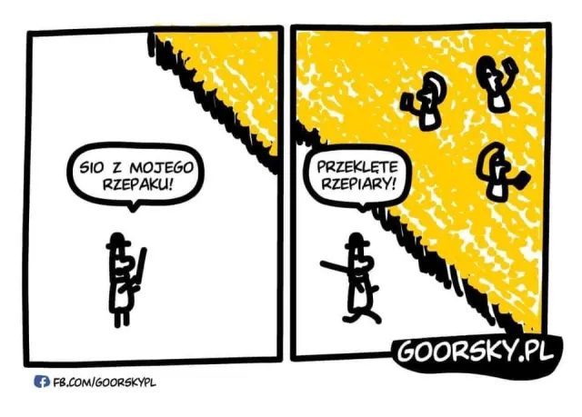 Rozpoczęcie sezonu