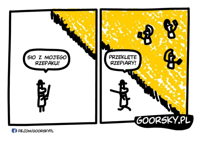 Rozpoczęcie sezonu