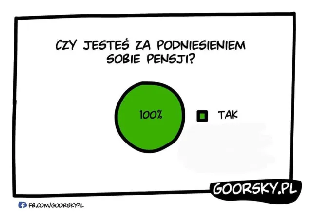 Ankieta
